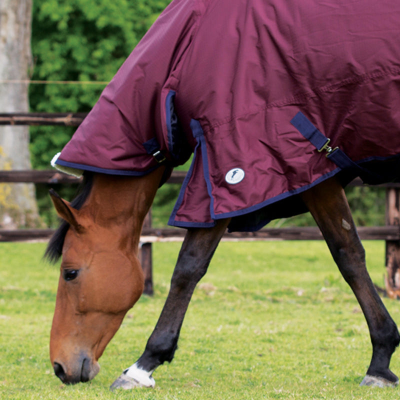 Couvre-cou JHL Essential Turnout Rug