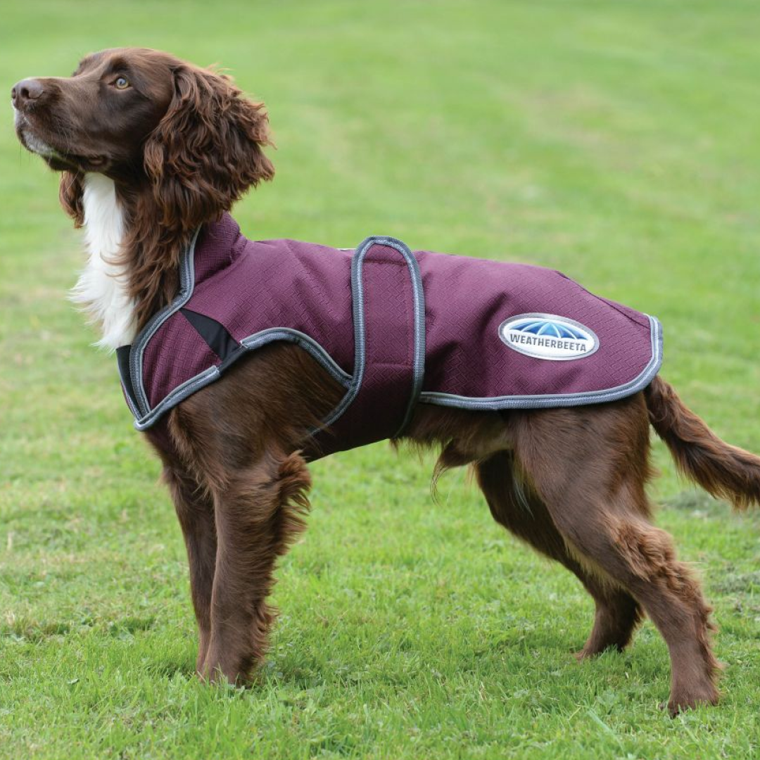 Weatherbeeta windbreaker dog deals coat