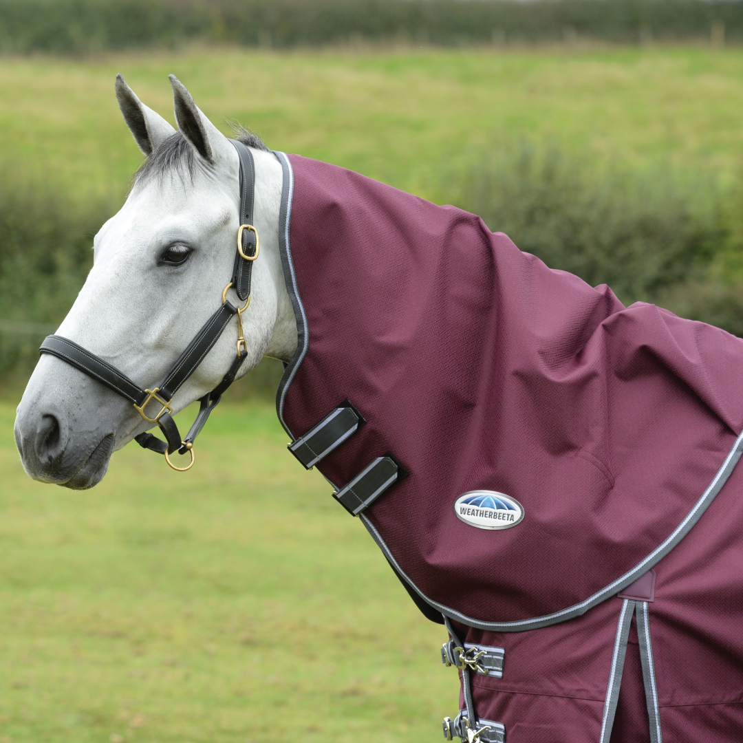 Weatherbeeta Comfitec Plus Dynamic II Neck Rug Medium/Lite – GS Equestrian