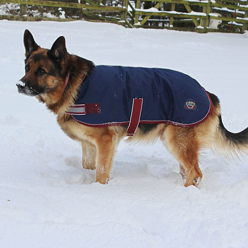 Waterproof Dog Rug Mackey Buster Waterproof 600D Dog Rug – GS Equestrian