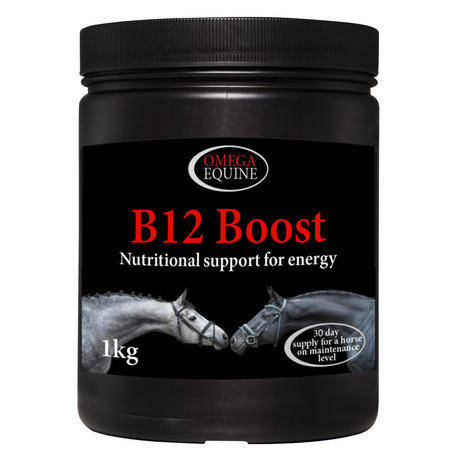 Omega B12 Boost #size_1kg