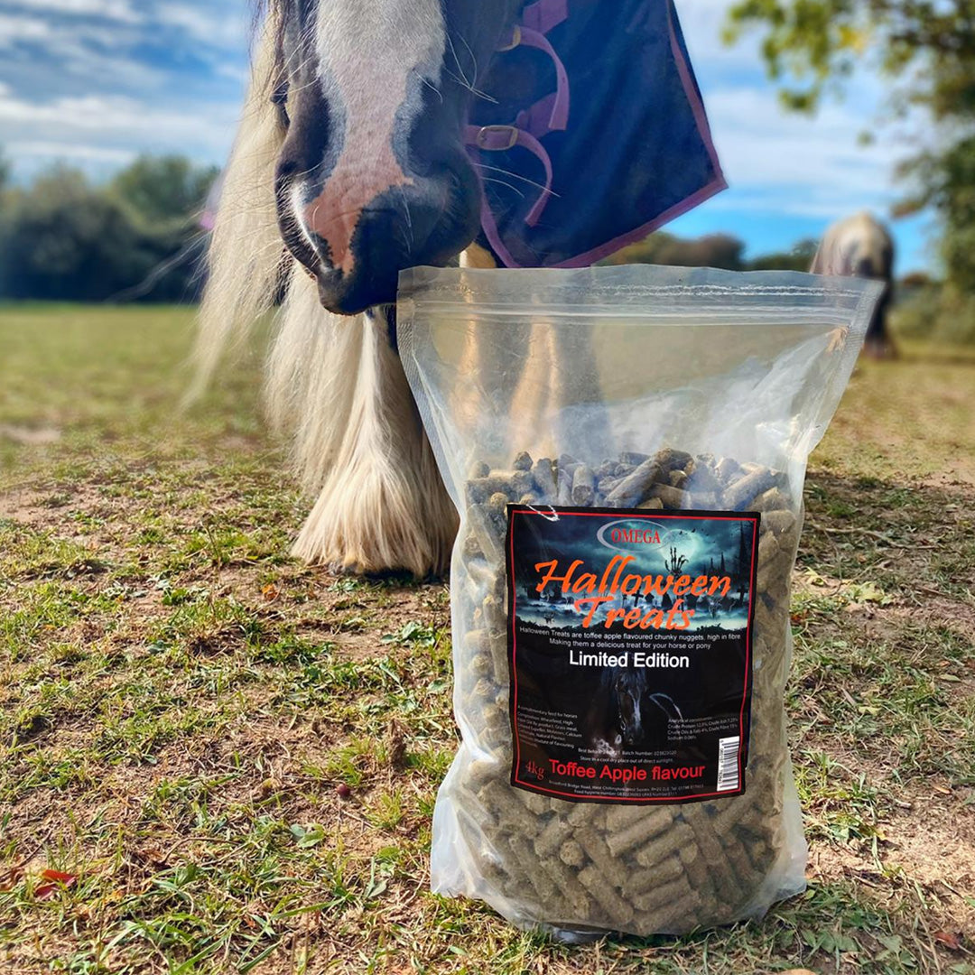 Omega Equine Halloween Treats - 4kg