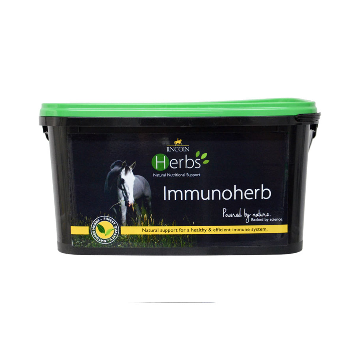 Immunoherbe Lincoln Herbs