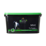 Menthe aux herbes Lincoln