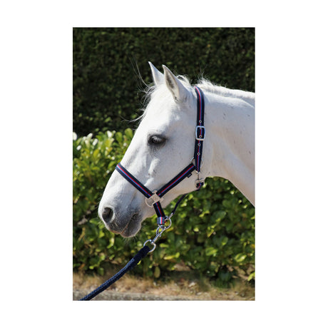 Hy Signature Head Collar and Lead Rope