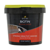 Lincoln Biotine