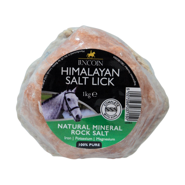 Lincoln Himalayan Salt Lick