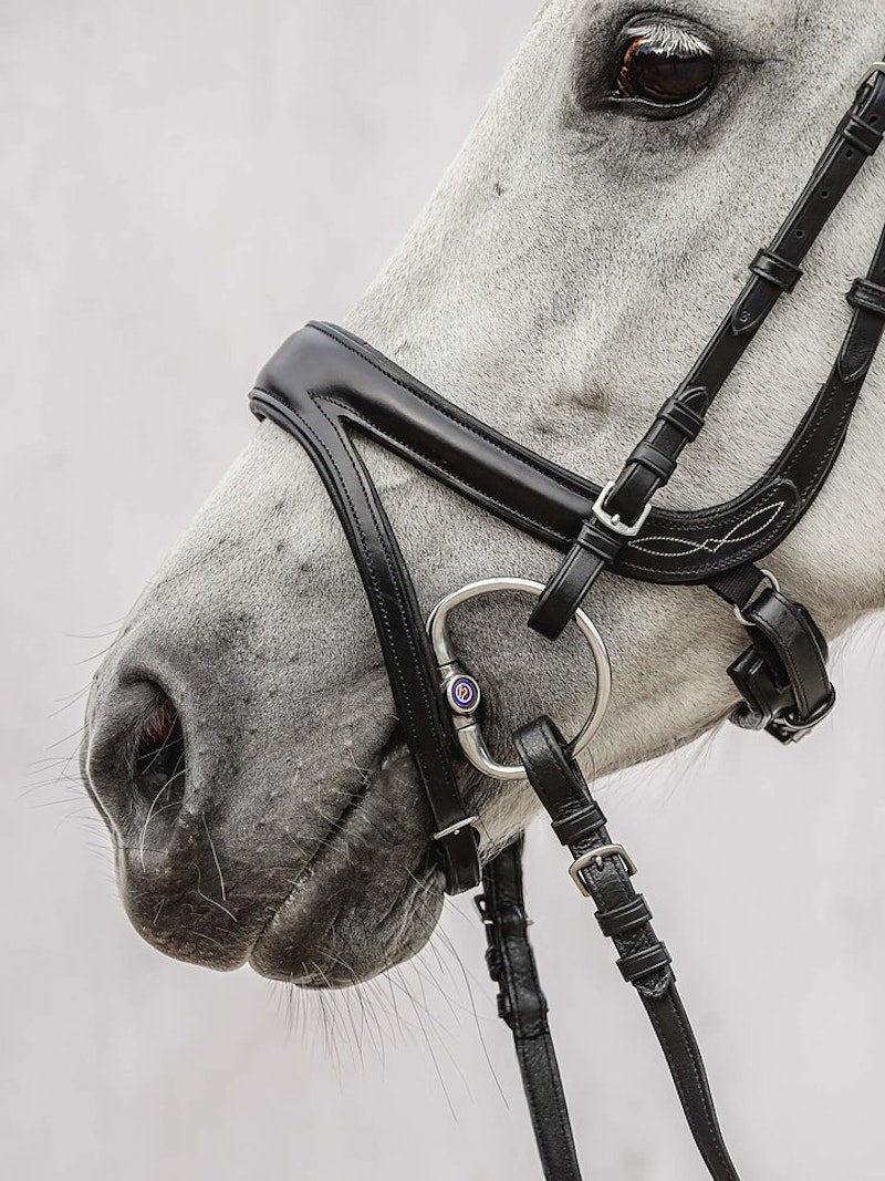 PS of Sweden Jump Off Bridle #colour_black