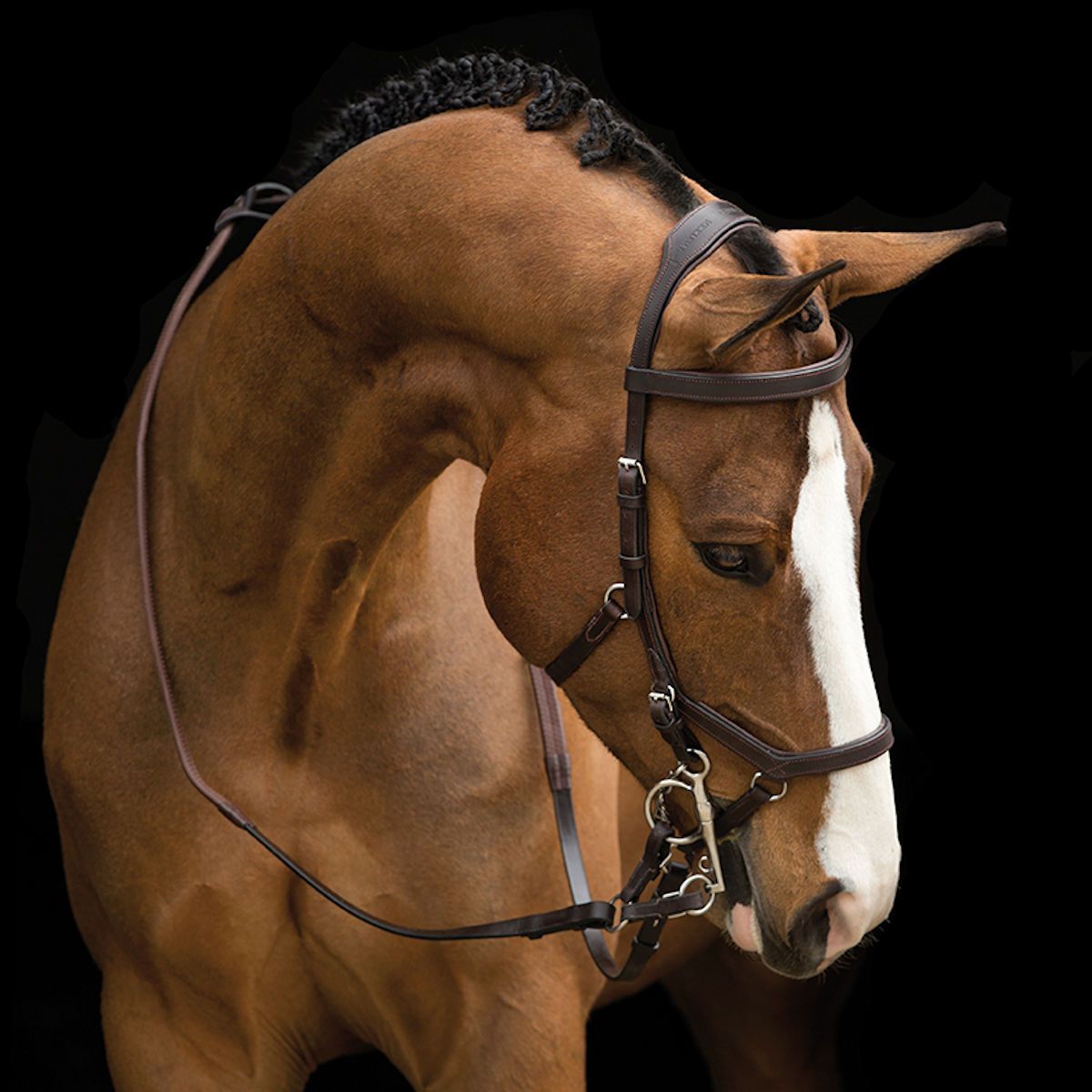 Horseware Ireland Rambo Micklem Original Competition Bridle Without Reins