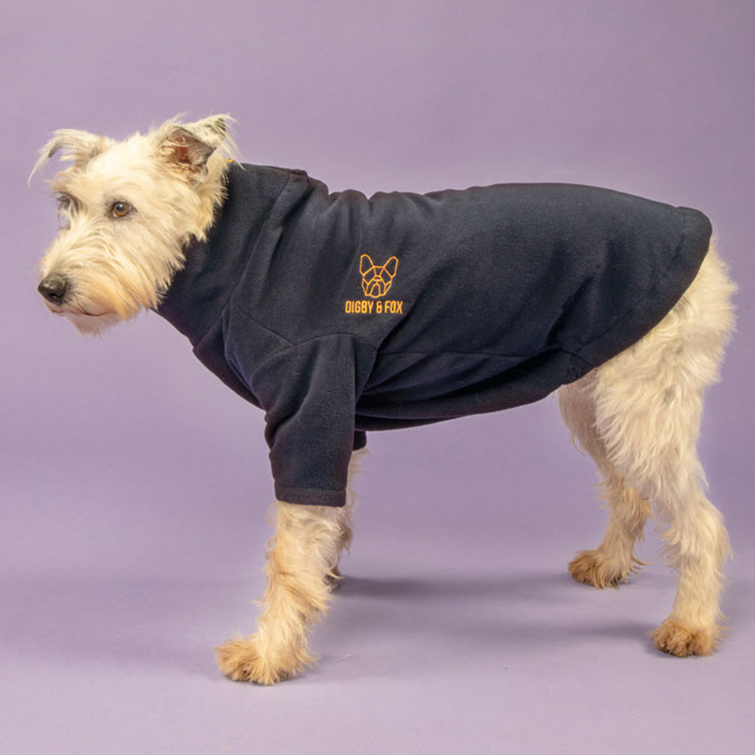 Digby and fox dog 2024 coats