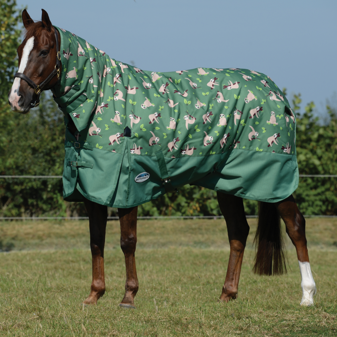 Weatherbeeta ComFiTec Essential Combo Neck Medium Turnout Rug – GS ...