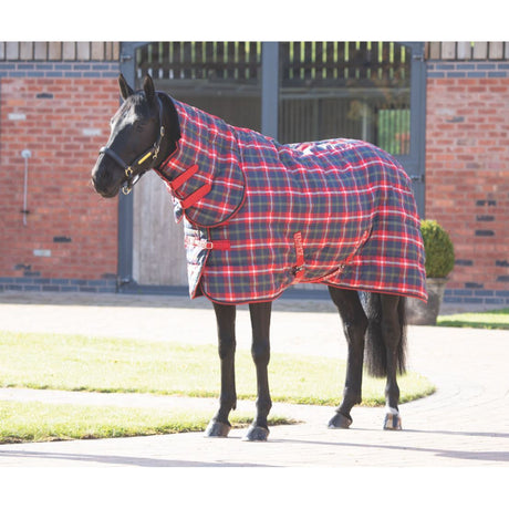 Tempest Plus 200g Stable Combo Rug