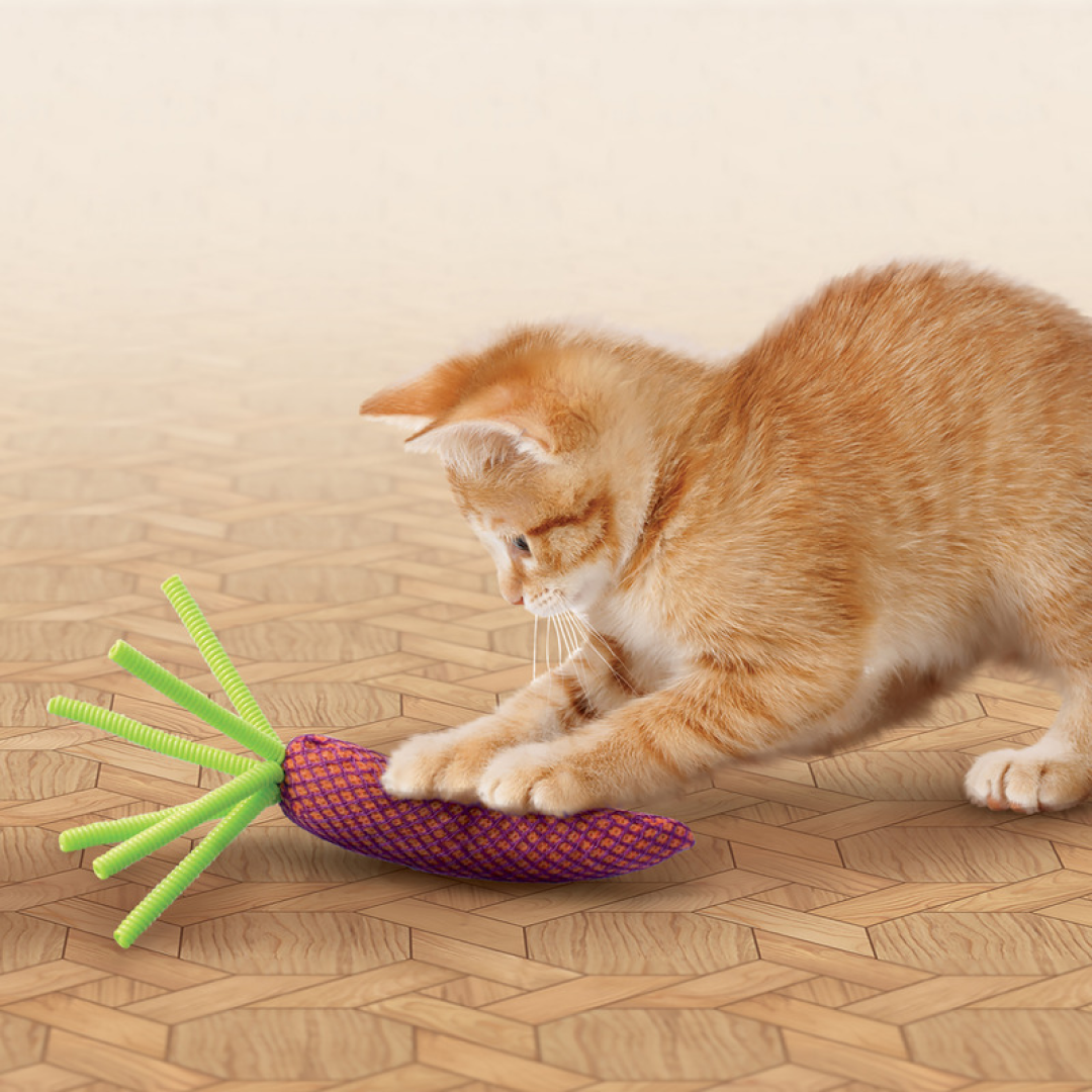 KONG Cat Nibble Carrot #size_one-size