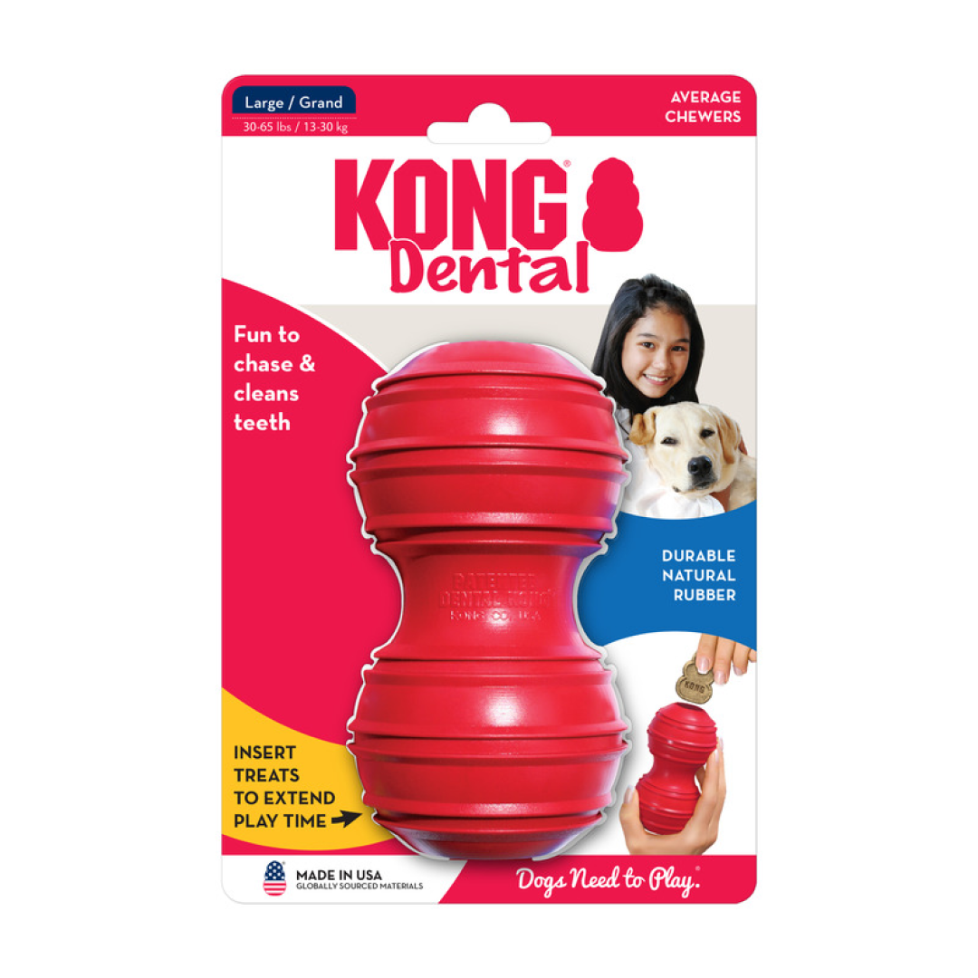Dental kong online