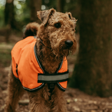 Weatherbeeta Reflective Parka 300D Dog Coat #colour_orange