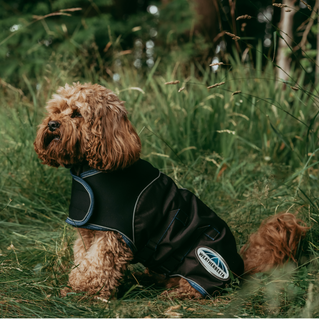 Weatherbeeta Comfitec Ultra Cozi Dog Coat Medium/Lite #colour_charcoal-blue-white