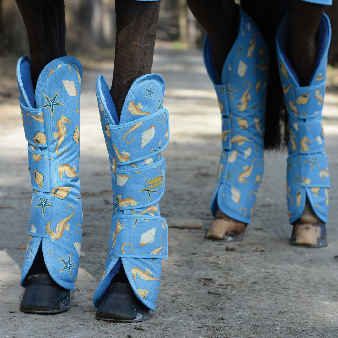 Weatherbeeta deluxe 2025 travel boots