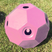 Parallax Plastics Small Holed Hay Play#colour_pink