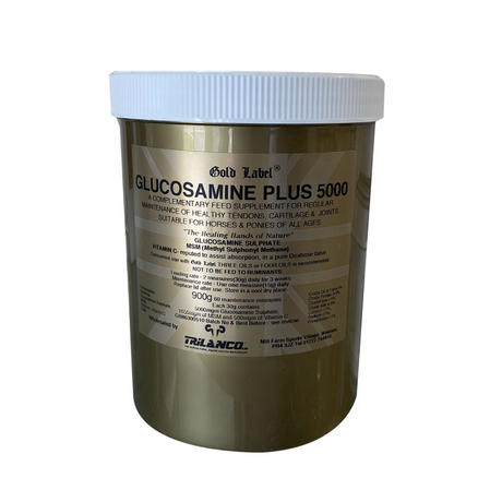 Gold Label Glucosamin Plus 5000