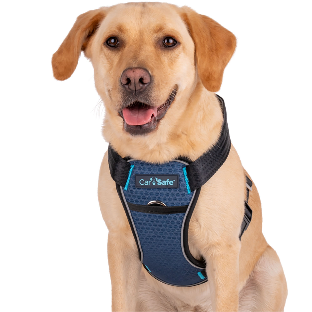 Safety tested dog hot sale car harness uk