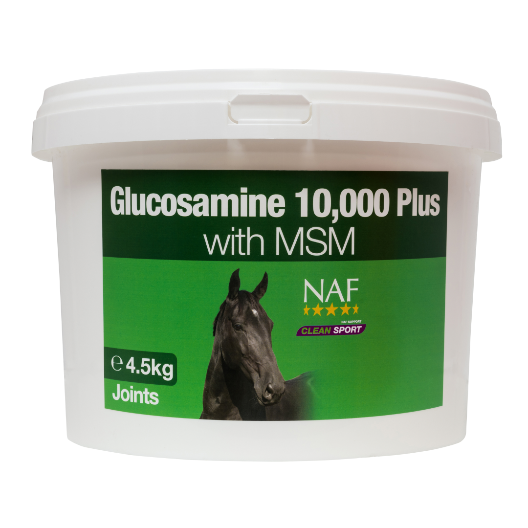 NAF Glucosamine 10,000 Plus With MSM