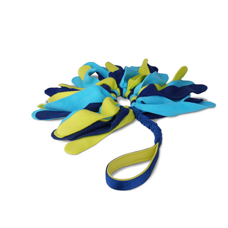Coachi Tuggi Spider #colour_navy-lime-light-blue