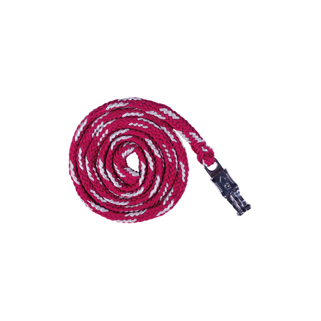 HKM Sweet Valentine Lead Rope With Panic Hook #colour_pink-silver