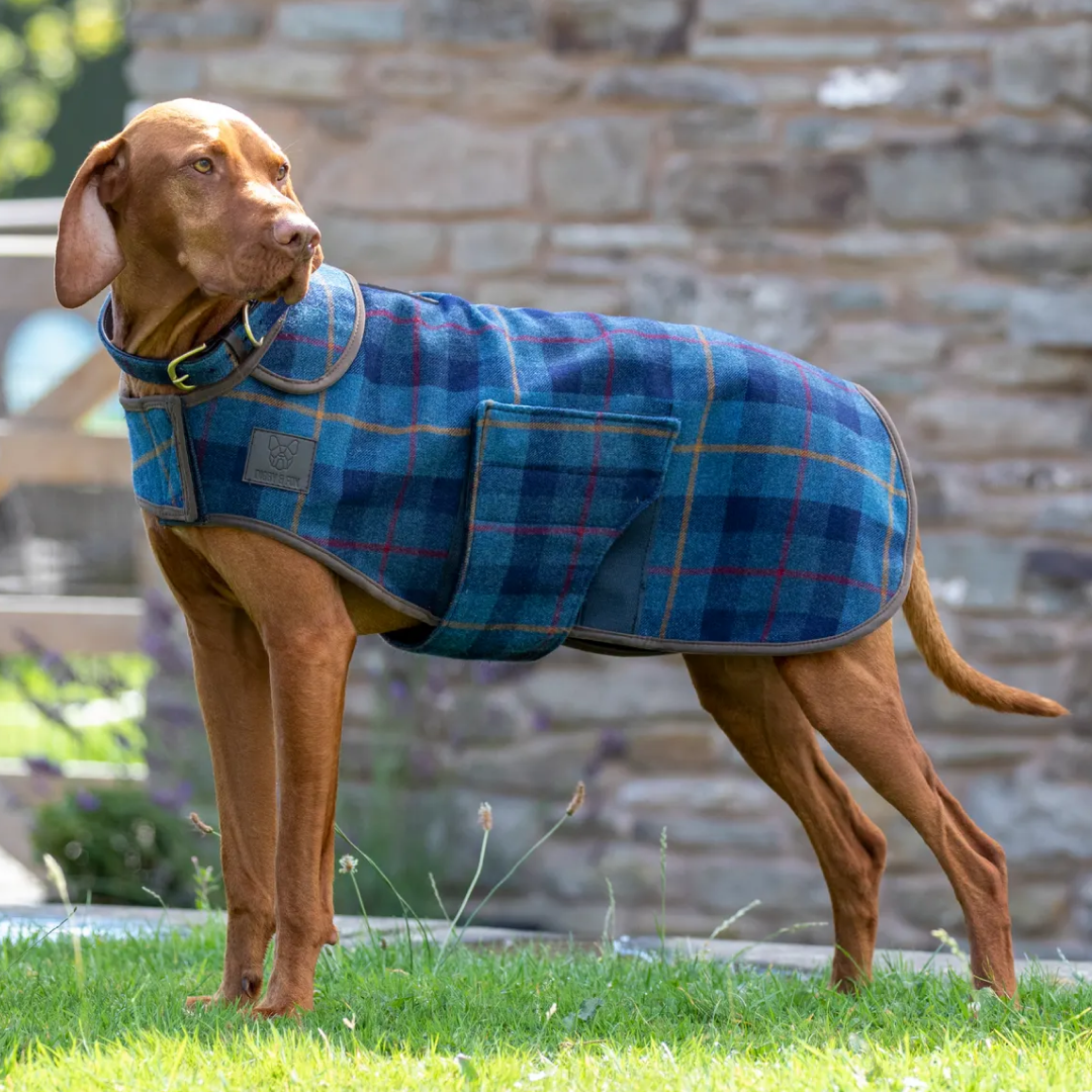 Shires Digby & Fox Tweed Dog Coat #colour_navy
