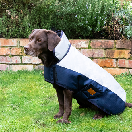 Benji & Flo Waterproof Dog Coat #colour_navy-reflective