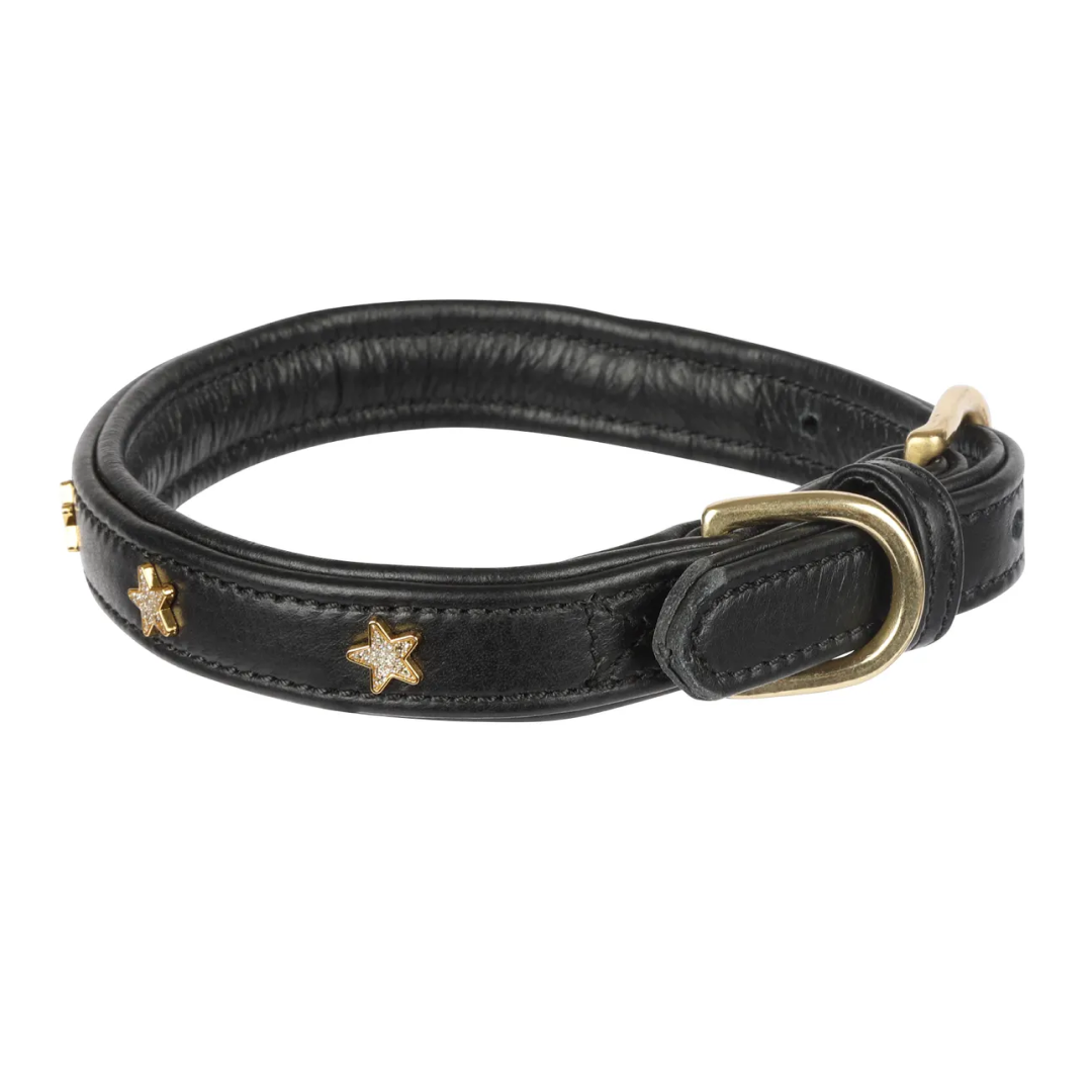 Parure NY Arcobaleno Pettorina + Guinzaglio Imbottito M