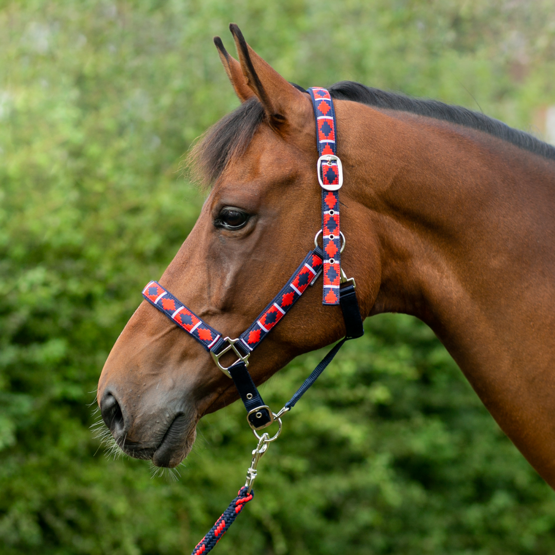 Hy Equestrian Woven Polo Head Collar and Lead Rope #colour_navy-red