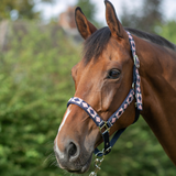 Hy Equestrian Woven Polo Head Collar and Lead Rope #colour_navy-rose