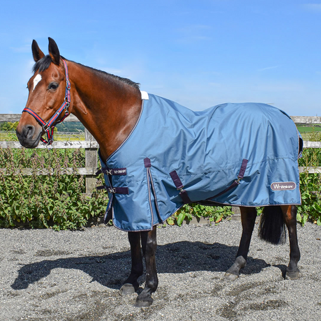 Whitaker Lupin Turnout Rug 100g #colour_teal