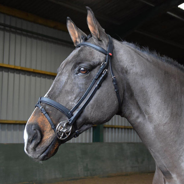 Bride Snaffle Whitaker – Marron – Taille Cheval – Cuir – Occasion
