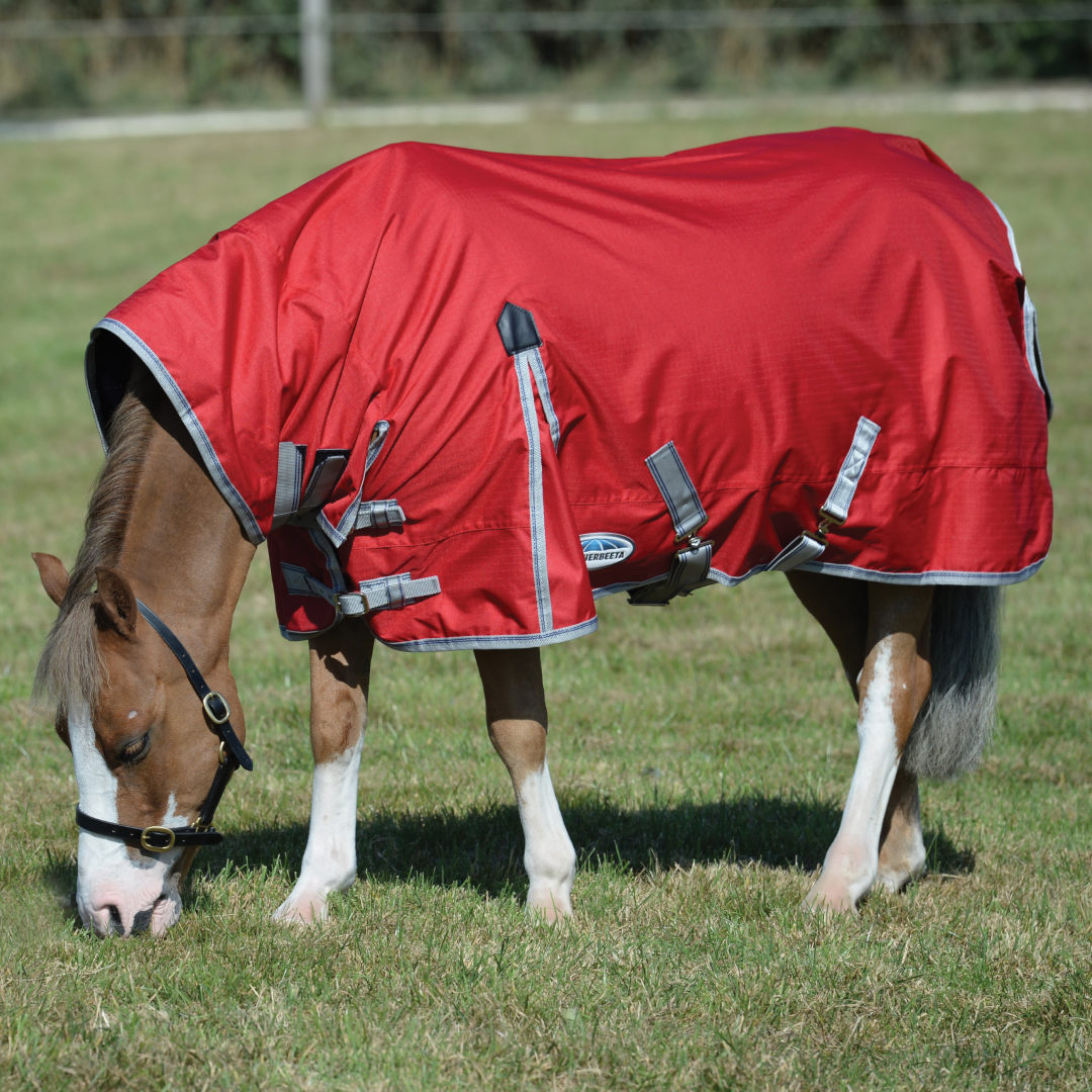 Weatherbeeta ComFiTec Classic Combo Neck Medium Turnout Rug – GS Equestrian