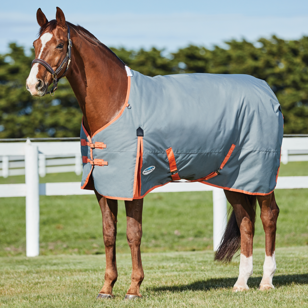 Weatherbeeta Comfitec Classic Standard Neck Medium – GS Equestrian