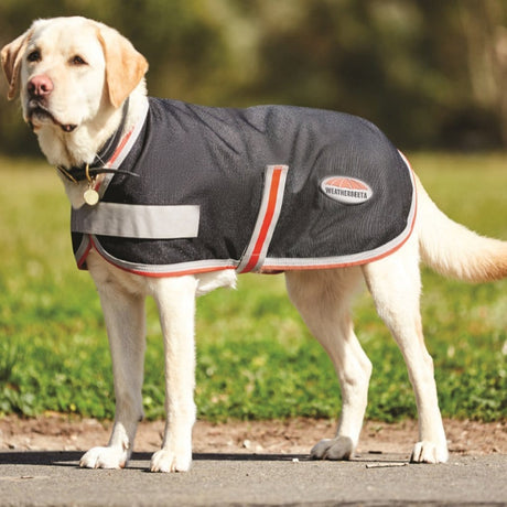 Weatherbeeta 1200D Therapy-Tec Dog Coat #colour_black-silver-red