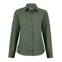 #colour_dark-green