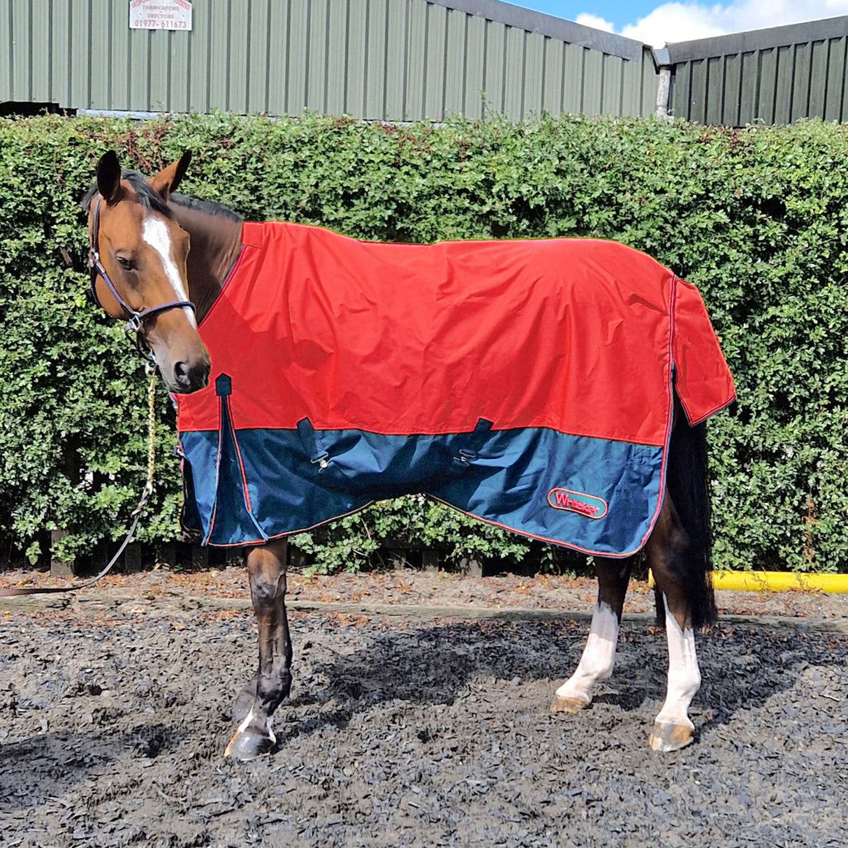 Whitaker Rudston 50G Turnout Rug #colour_red