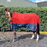 Whitaker Rudston 50G Turnout Rug #colour_red