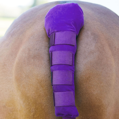 Bitz Padded Tail Guard with Velcro #colour_purple
