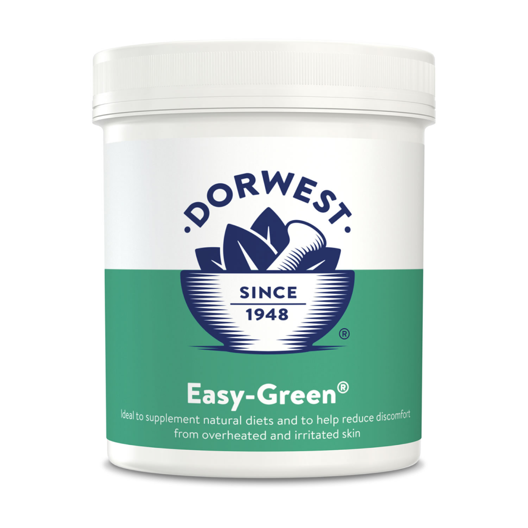 Dorwest Herbs Facile-Vert