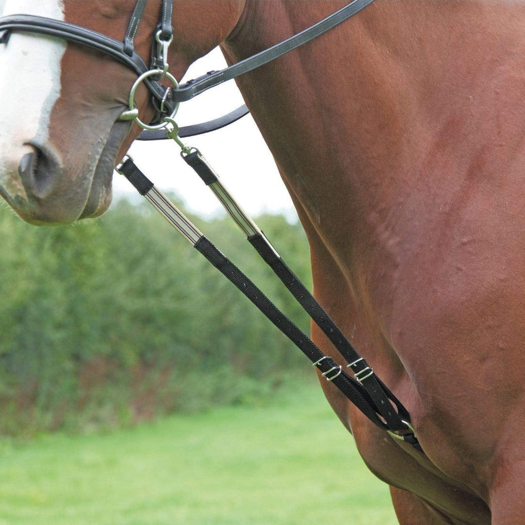 Original Harbridge Training Aid