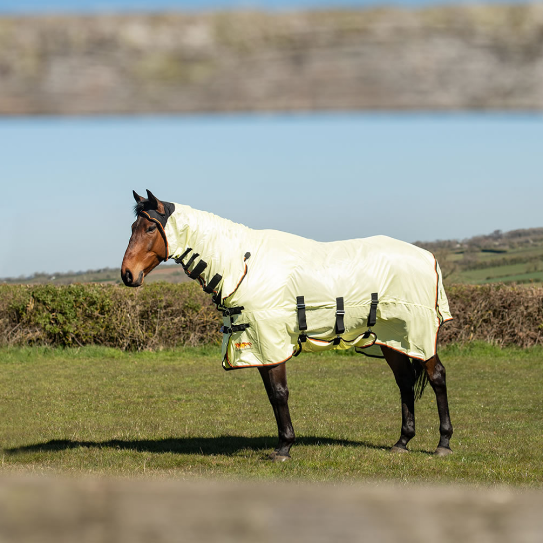 Equilibrium Field Relief Fly Rug #colour_yellow-black-orange