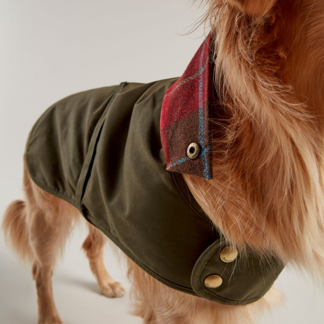Joules waxed dog deals coat