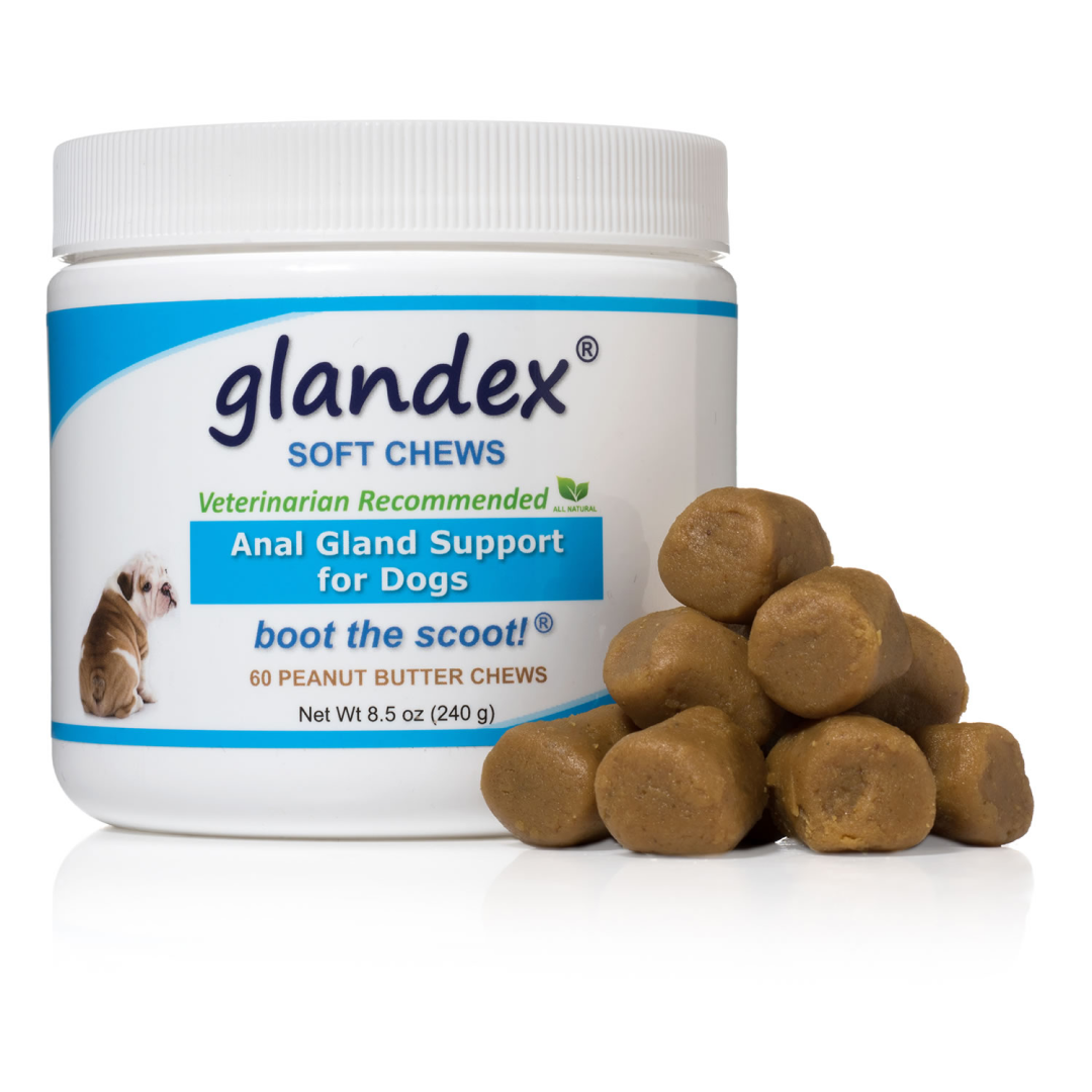 Glandex chews uk best sale