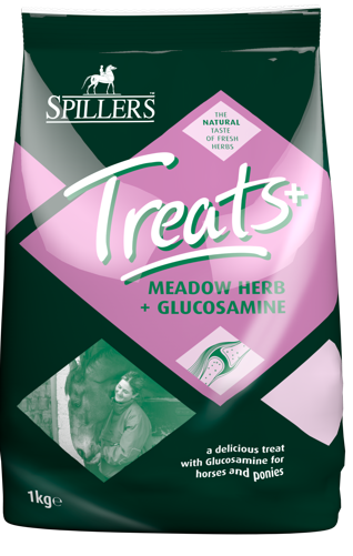 Spillers Meadow Herb Treats + Glucosamine