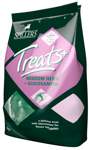 Spillers Meadow Herb Treats + Glucosamine
