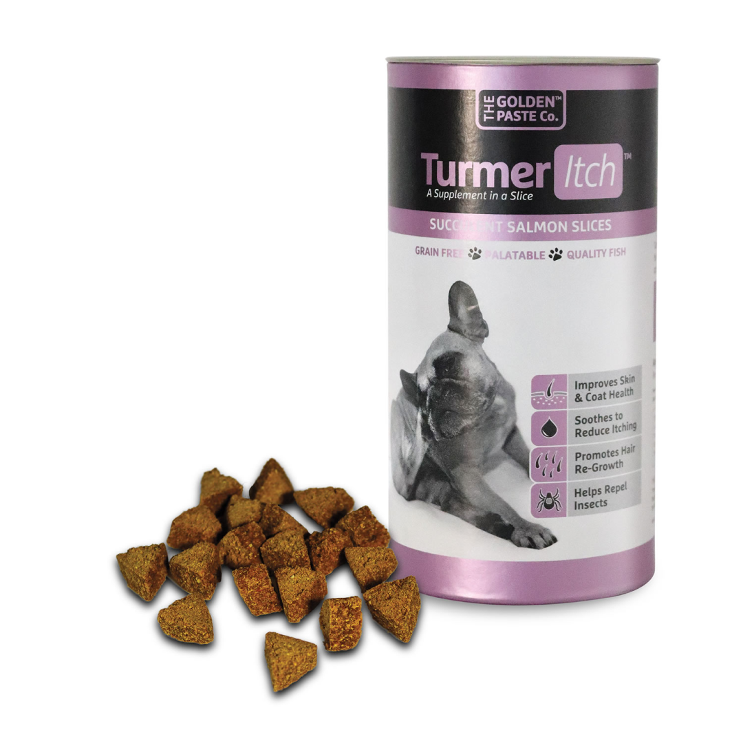Golden Paste Company Turmeritch for Dogs