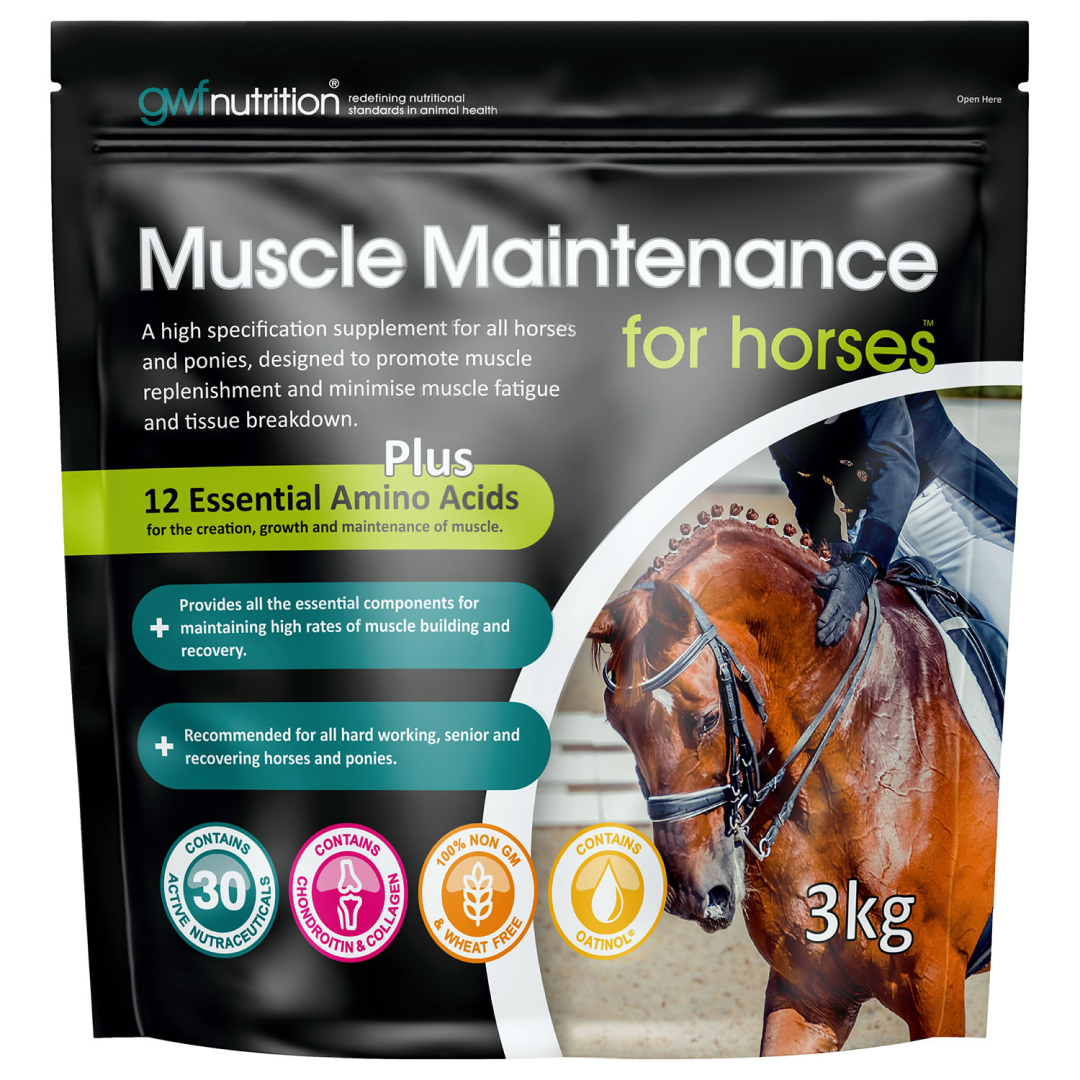 GWF Nutrition Muskelerhaltung für Pferde